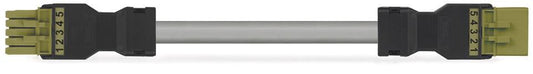 WAGO 891-8995/006-805 Verbindungsleitung Buchse Stecker 5-polig hellgrün
