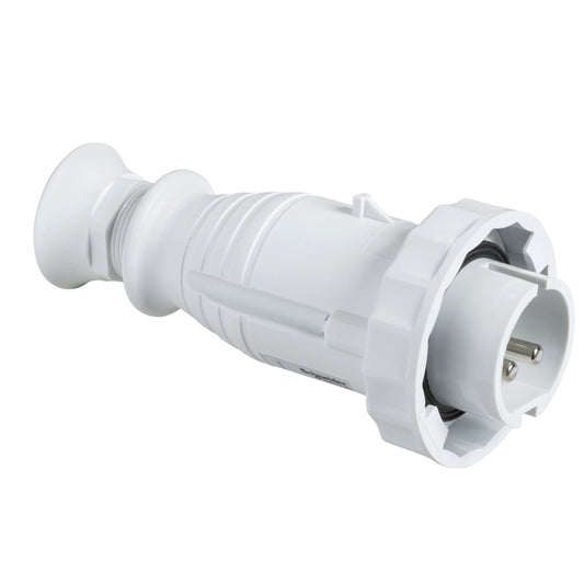 SE 82363 Stecker IP67 16A 24/48 VDC 2P