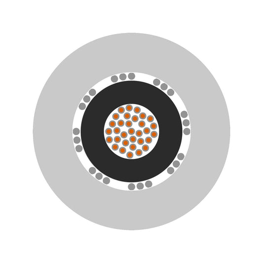 LAPP Unitronic LIYCY 1x1,0qmm 100m-Ring
